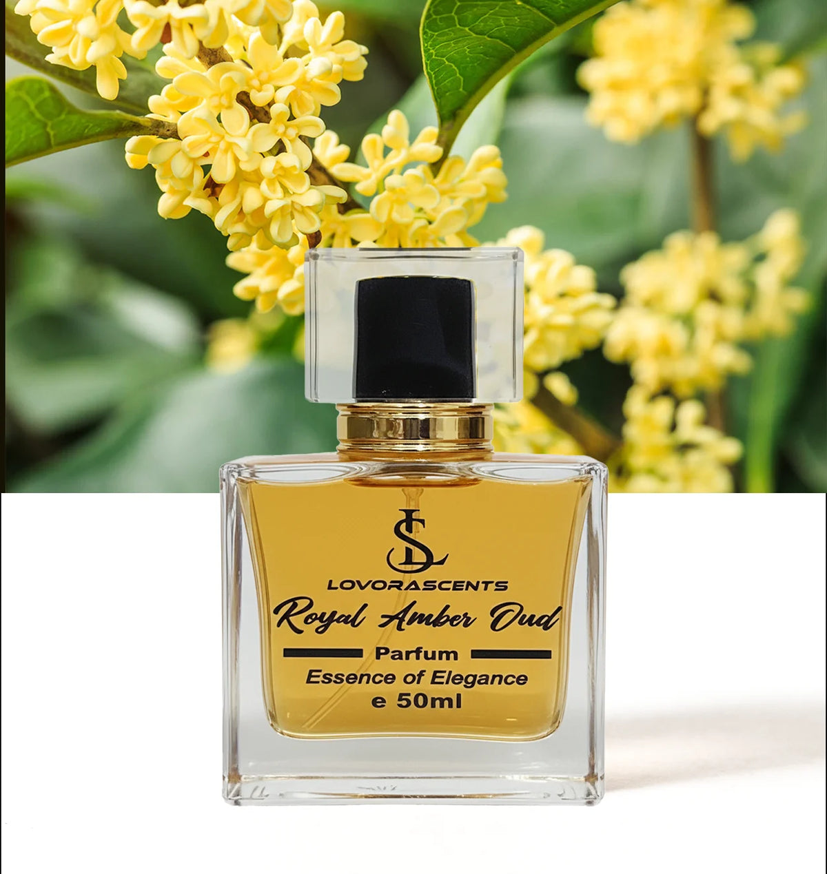 Royal Amber oud  inspired by  Amber oud